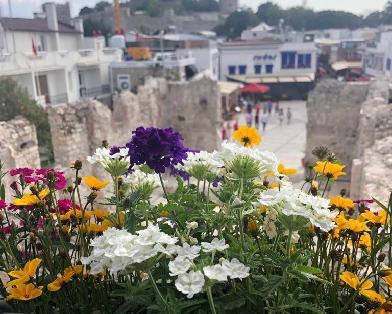 Bodrum Houses Of Socrates - Manzara 아파트 외부 사진